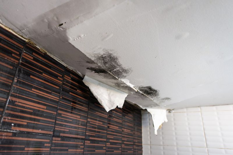 Bathroom Water Damage Repair in Charleston, SC