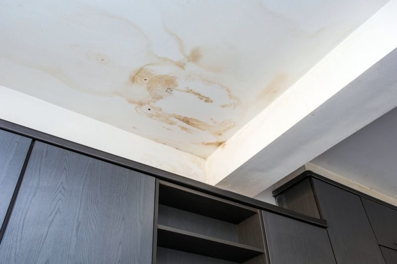 Ceiling Removal Service in Houston, TX